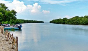 Coringa wildlife sanctuary